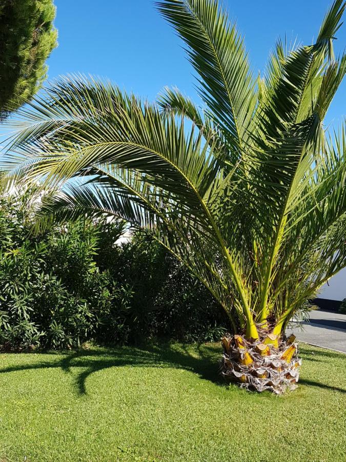 Hotel Jerodel Le Bois-Plage-en-Re Exterior photo